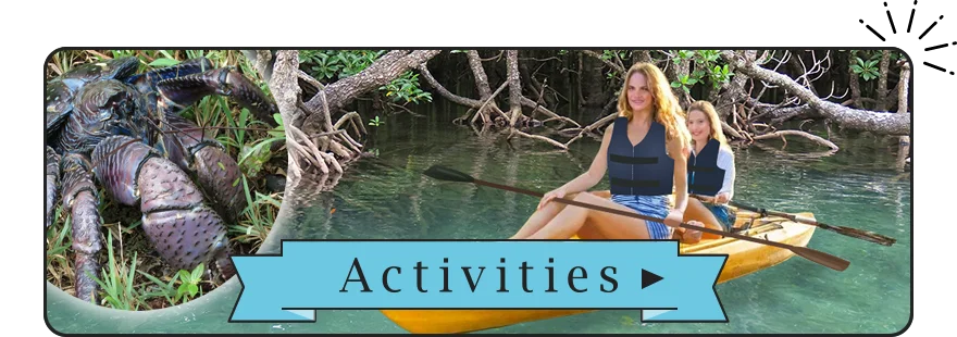 アクティビティ:石垣島体験ツアーStarOcean(スターオーシャン)